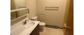 a bathroom with a toilet, sink, and mirror