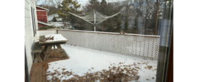 a view of a snow covered backyard from a window