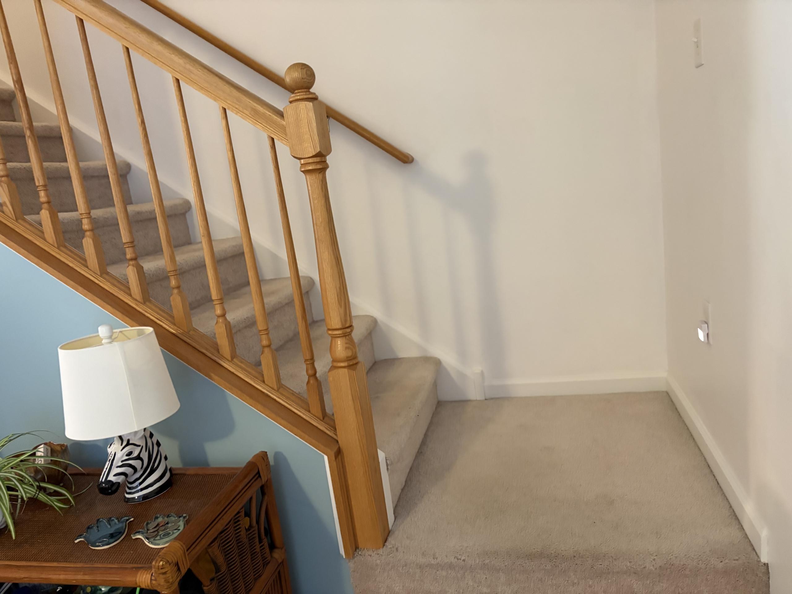 Wooden staircase with carpeted steps