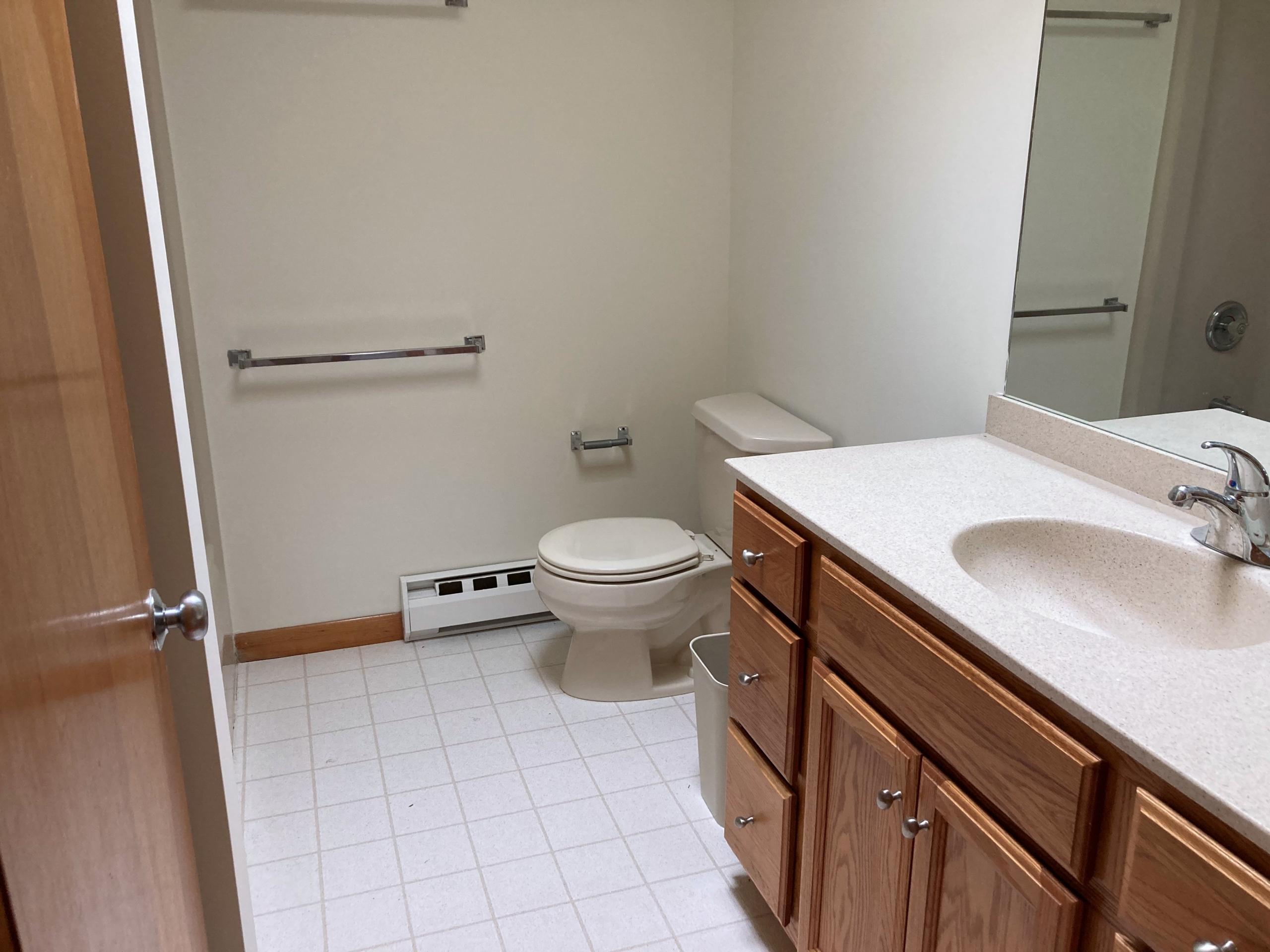 Bathroom with toilet and vanity