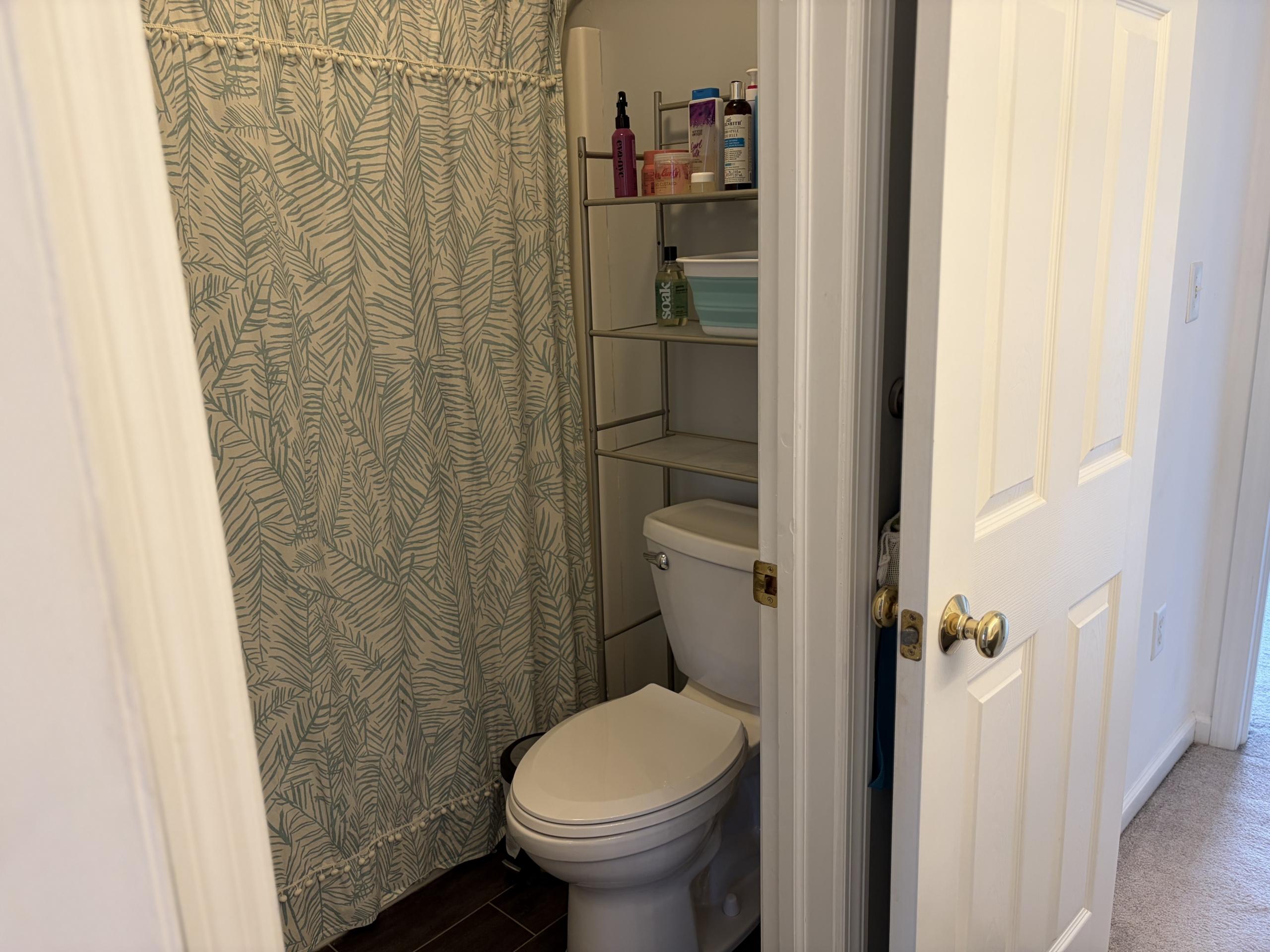 Toilet and shower in small bathroom