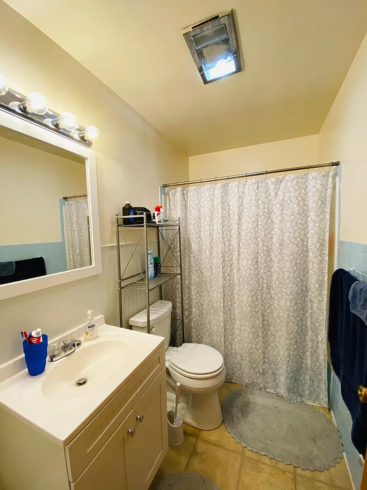 Bathroom with vanity, toilet, and shower curtain