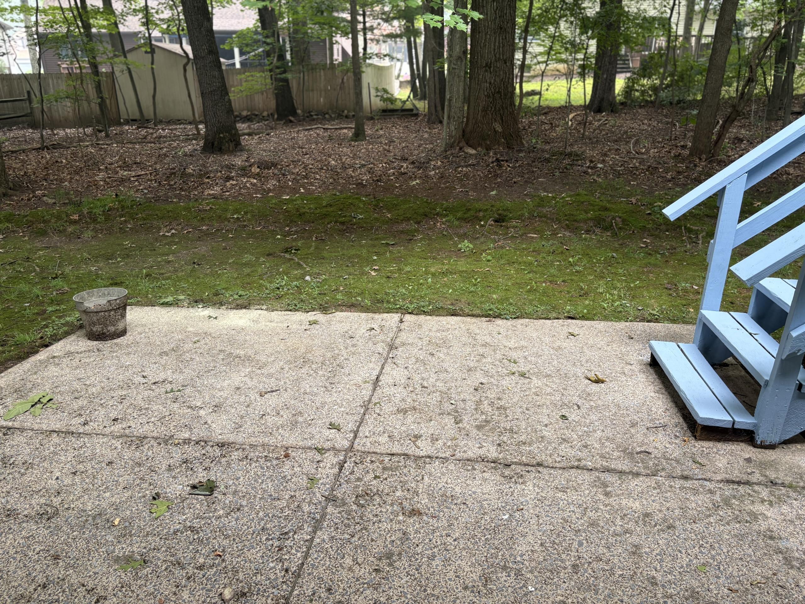 Concrete patio with blue stairs and yard