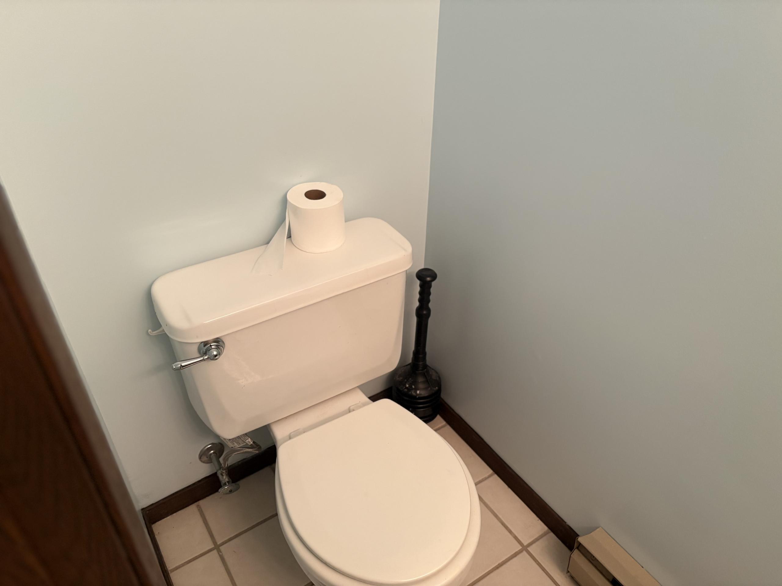 Toilet with toilet paper and plunger