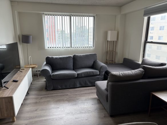 Living room with dark gray sofas and TV